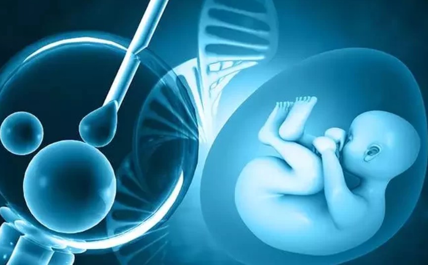 Започва прием на документи за участие в програмата „Ин витро“ в Община Велико Търново за 2025 г.